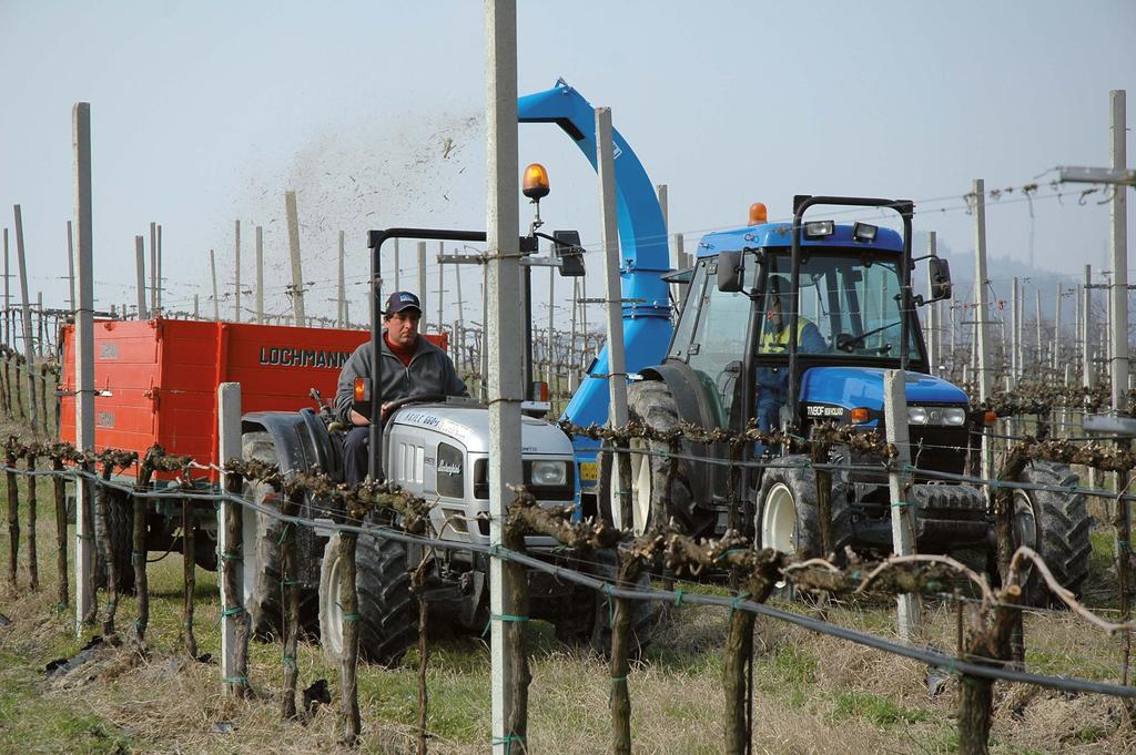 Densificazione delle potature agricole La densificazione delle potature, in forma di pellet o bricchetti, è un alternativa all impiego del triturato/cippato tal quale che permette di superare le