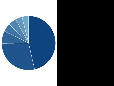 DISTRIBUZIONE GEOGRAFICA Nord America 45,51% Europa 27,86% Altro 7,22% Paesi Emergenti 4,90% Pacifico 4,70% Italia 3,97% Giappone 3,87% PRINCIPALI INVESTIMENTI WELLCOME TRUST 1.