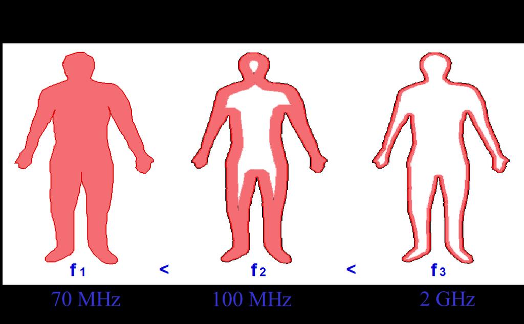 Effetti biologici alle alte frequenze [100 KHz 300 GHz] Gli effetti biologici e sanitari che sono stati accertati nell intervallo di frequenza tra 10 MHz e pochi GHz possono essere interpretati come