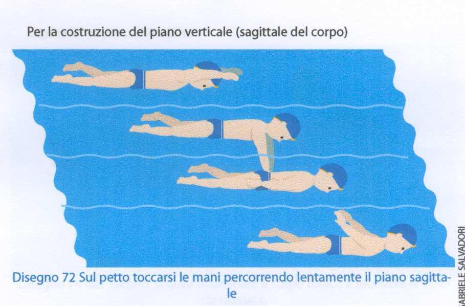 Per la costruzione del piano orizzontale ( il piano dell acqua ): braccia tese movimenti molto lenti rispetto dei contatti dita-acqua sul petto/sul dorso passando sopra/sotto l acqua toccare il punto