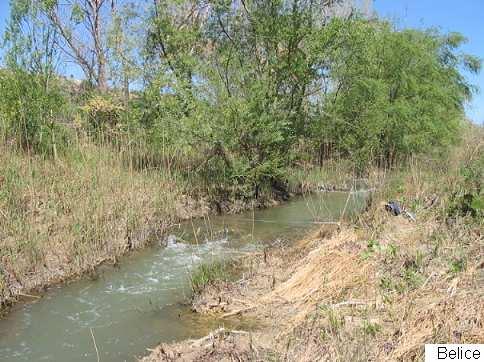 Stazione N 34 Fiume Belice INDICATORI Indicatori di Qualità 75 PERCENTILE PUNTEGGIO LIM Azoto ammoniacale (N mg/l),34 2 Azoto nitrico (N mg/l) 3,3 2 1-OD (% Sat.