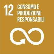 Goal 12 Consumo di Materiale Interno (CMI) (per unità di Pil