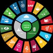 L Istat e gli indicatori SDGs: Sfide e opportunità per la Statistica ufficiale e per il Paese People Planet Prosperity Peace