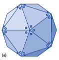 Struttura del virione Simmetria Icosaedrica Gli involucri più semplici sono formati da 60 protomeri, tre per faccia, ognuno posto ad uno dei vertici.
