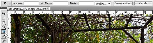 Ritagliare un immagine 1. Nella barra degli strumenti, selezionare lo strumento taglierina. Ai lati della foto vengono visualizzati i limiti di ritaglio. 2.