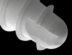 35 mm con funzione di sostegno dei carichi masticatori per le componenti protesiche; sono inoltre