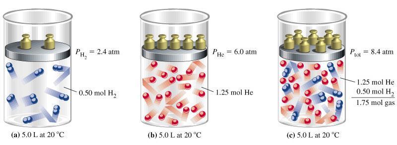 La legge di Dalton delle pressioni parziali La pressione totale di una miscela di gas risulta dalla somma delle pressioni parziali dei singoli gas