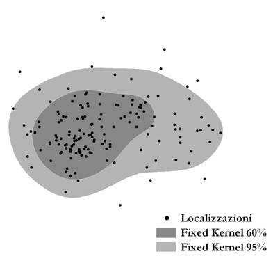 minimo Kernel: Worton, 1989 Algoritmo,