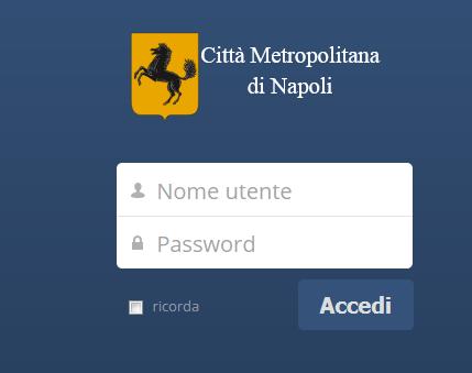Inserisci il tuo nome utente e password validi.