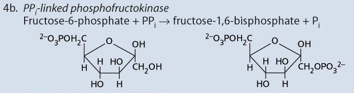 1,6-bisfosfato ΔG