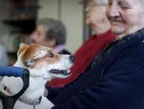 Sono esclusi i cuccioli, le femmine in estro, in lattazione o in gravidanza avanzata.