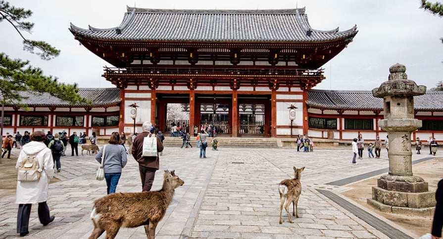 Nel pomeriggio, si riprende con il Tempio Tenryuji, classificato come il primo dei cinque templi Zen di Kyoto, e la foresta di bambù Sagano di Arashiyama. Rientro in hotel. Cena libera. Pernottamento.