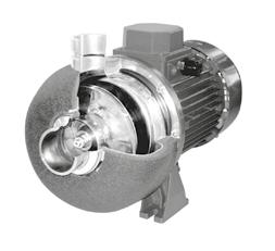 Elettropompe centrifughe a girante chiusa in acciaio inossidabile AISI 304.