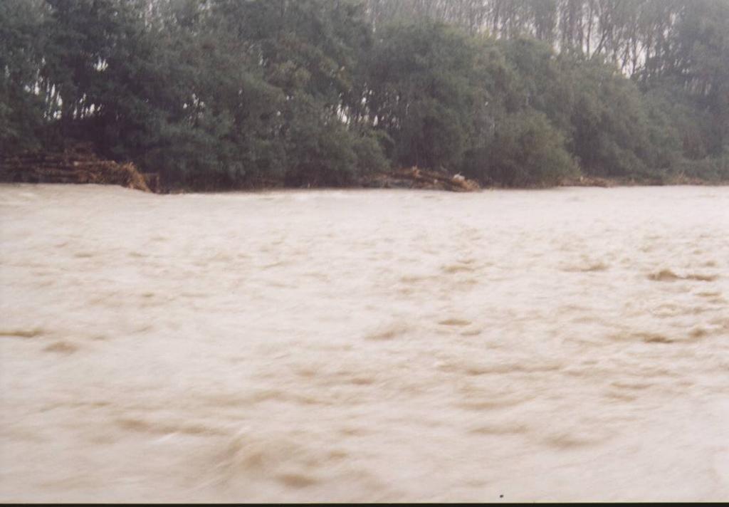 Foto 16 Piena dell ottobre 2002 I repellenti in sponda
