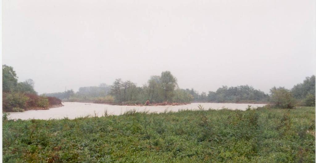 Foto 18 - Piena dell ottobre 2000 L alveo secondario realizzato nel 1996