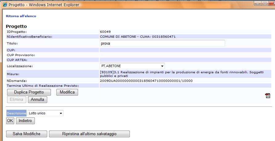 Fig. 30 ELENCO PERSONALE Si richiede di compilare con le generalità del Responsabile del Progetto con l indicazione del relativo recapito e-mail e telefonico.