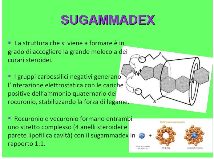 Sugammadex è un farmaco utilizzato per antagonizzare il blocco neuromuscolare indotto dai curari quali rocuronio o vecuronio; non e in grado invece, di