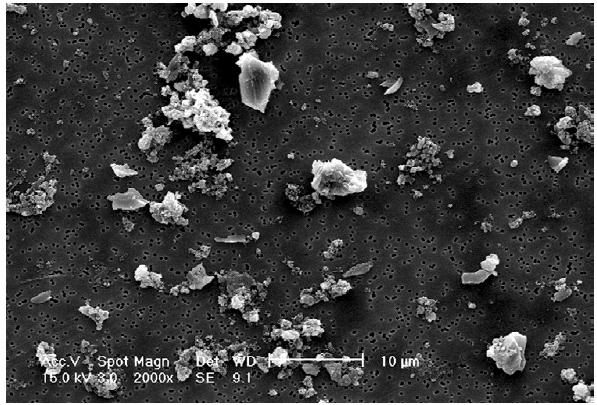 La normativa vigente indica il valore limite annuale per la protezione della salute umana a 40 µg/m 3 ed il valore limite