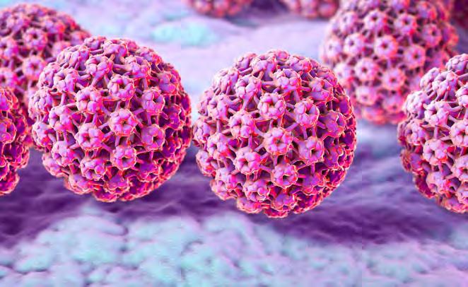cervice uterina. In totale sono oltre 6.500 i nuovi casi di cancro l'anno riconducibili all'infezione da Papilloma Virus Umano (o Hpv).