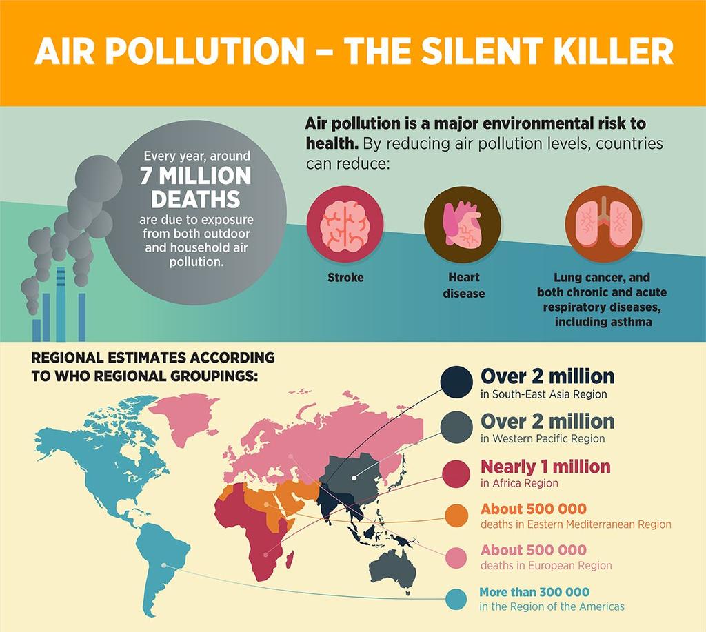 Mortalità attribubile all inquinamento 4.