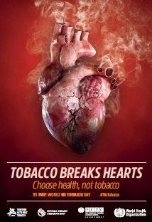 Come può il fumo provocare le malattie cardiovascolari?