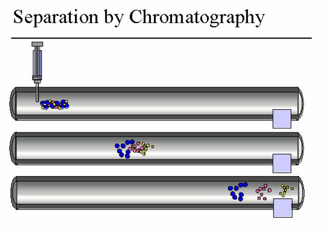 FASE STAZIONARIA: matrice FASE MOBILE: analita ed eluente cromatogramma La cromatografia consiste nella separazione di molecole in una soluzione liquida o gassosa (fase mobile) attraverso l