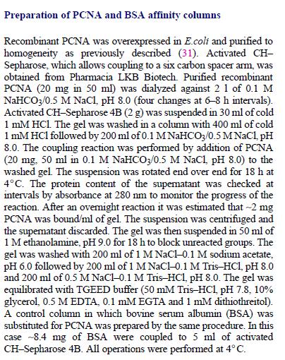 PCNA column e BSA column Matrice : CH sepharose 4B Ligando: PCNA ricombinante overesperessa in E.