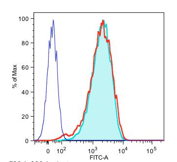 expressing cell line. mtf expression between CHO-K1-mTF and CHO-K1-mTF/mEPCR was comparable, as confirmed by flow cytometry (Figure 9) analysis and mfviia titration assays (Figure 10). Fig.