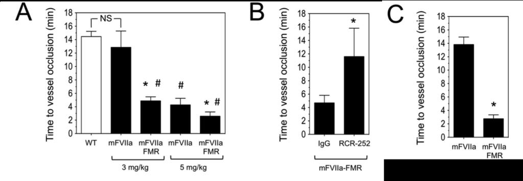 Fig. 13 Infused mfviia-fmr shows enhanced hemostatic potential in hemophilic mice compared to mfviia. (A) Hemophilia B mice (n=3-5 per group) were subjected to a 7.