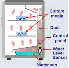 Vaschetta di umidificazione: la vaschetta di umidificazione è posta nella base dell incubatore ed è removibile.
