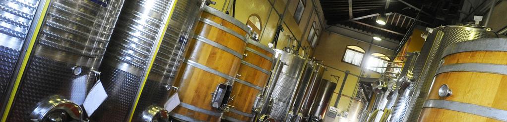 BIANCO DI TOSCANA IGT CRETO DE BETTI Vitigni: Chardonnay 70%, Trebbiano 30%. Vendemmia: A mano con una attenta selezione delle uve.