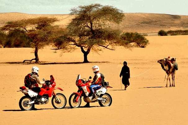 A parte i primi 100 chilometri di aasfalto per allontanarsi dalla capitale il resto della tappa è tutta nei platò intervallati da wadi e dune. DAY 4: tappa di 110 km circa per arrivare a Cinghetti.