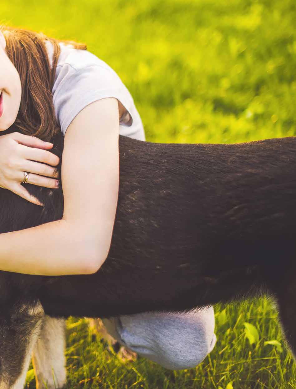 è un marchio di Gimborn, lo specialista degli animali domestici! Il nostro scopo è una convivenza armoniosa tra uomo e cane.