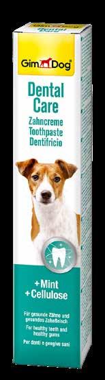 Dentifricio Dental Care Dental Care toothpaste Pulire i denti regolarmente con questo dentifrico appositamente studiato, può prevenire danni ai denti, l alito cattivo e le irritazioni alle gengive.