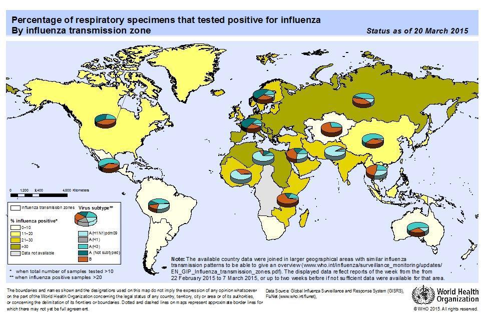 SITUAZIONE INTERNAZIONALE La circolazione dei virus influenzali si mantiene sostenuta nell emisfero nord.