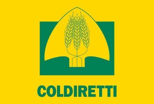 01 giugno 2018 Riforma della Politica agricola comune, tagli inaccettabili Le ipotesi di taglio alla Politica Agricola Comune (Pac) sono insostenibili in un settore chiave per vincere le nuove sfide