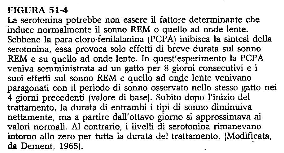 IL RITMO SONNO VEGLIA DIPENDE DALL ATTIVITA DI 2 CENTRI NERVOSI - CENTRO BULBARE DEL SONNO (INIBISCE IL CENTRO PONTINO) CENTRO PONTINO DELLA VEGLIA LA PERFUSIONE SELETTIVA DEL BULBO (CENTRO DEL