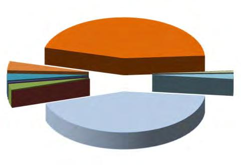 Tabella: 6 Elenco causali dei decreti 2015-2016 Dati al 31/01/2016 Causali Da al 31/01/2016 2015 % su tot 2016 % su tot Diff.nza su anno crisi aziendale 276 43,53% 82 33,61% -194-70,29% amm.