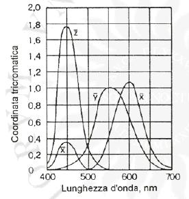 -C 3 = C 2 -C 4 Le combinazioni di colore rispettano la proprietà transitiva: se C 1 = C 2 e C 2 = C 3, allora si ha C 1 = C 3 I componenti di una miscela di colore non possono essere distinti