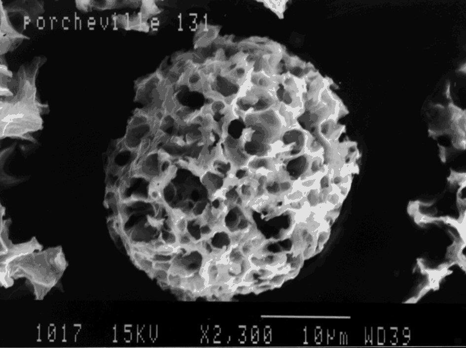 Ecco una particella osservata al microscopio Questa