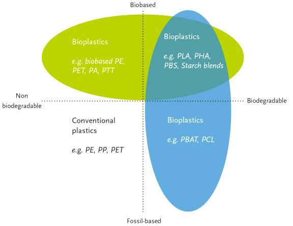Plastiche tradizionali VS Biolplastiche Bioplastiche: che cosa sono?