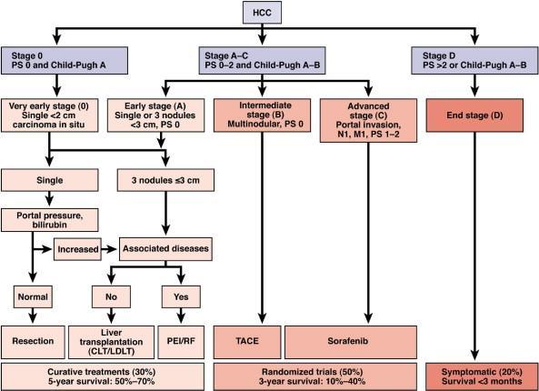 The Barcelona Clinic Liver Staging System