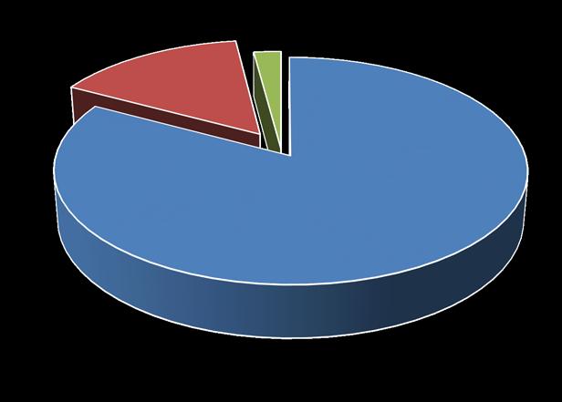 SCALE DI VALUTAZIONE 78,6 % utilizza la scala BOSTON 14,3 % utilizza giudizio binario (ottimale/adeguato non
