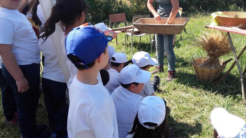 A metà maggio, per concludere il percorso dal Seme alla pianta, Abbiamo voluto spostare i nostri laboratori