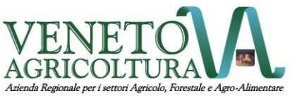 GRAZIE PER l ATTENZIONE Paola Berto Centro Forestale Pian Cansiglio