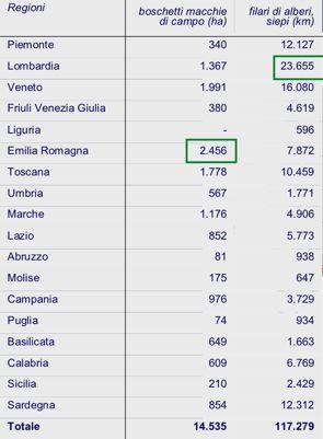 Le foreste di pianura in Italia 5% delle superficie forestale nazionale di cui 120-170.000 ha di piantagioni (su 10.