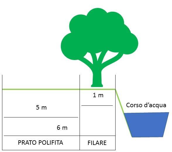 5. Fasce tampone e boschetti Il corridoio ecologico arboreo arbustivo monofilare, composto da specie arboree alternate a specie