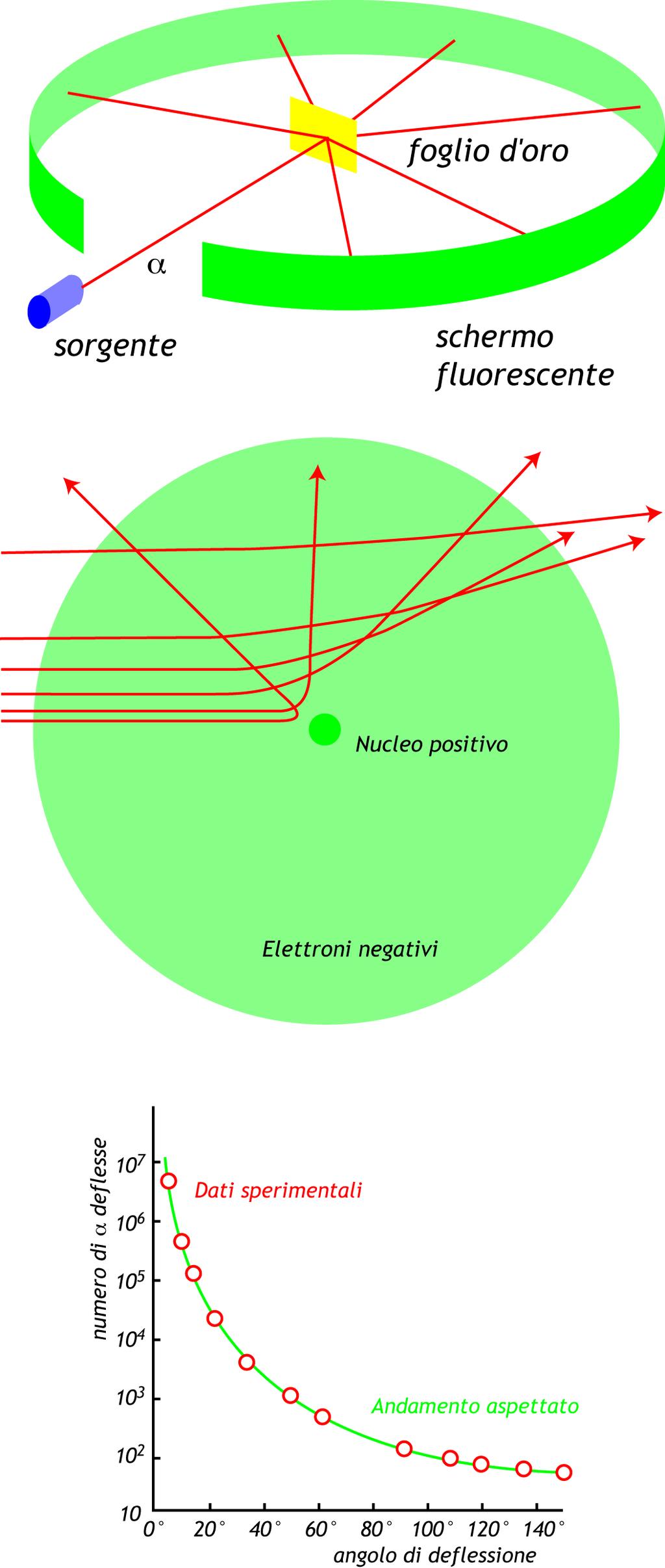 Esperimento di Rutherford Supponendo che il nucleo abbia carica positiva (sia cioè costituito da particelle di carica positiva) e sia concentrato in un piccolo spazio, da principi di base (forza di