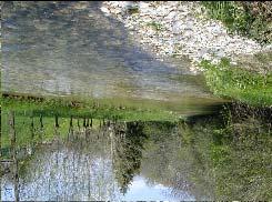 TORRENTE SOLIGO-BARBISANO (cod.