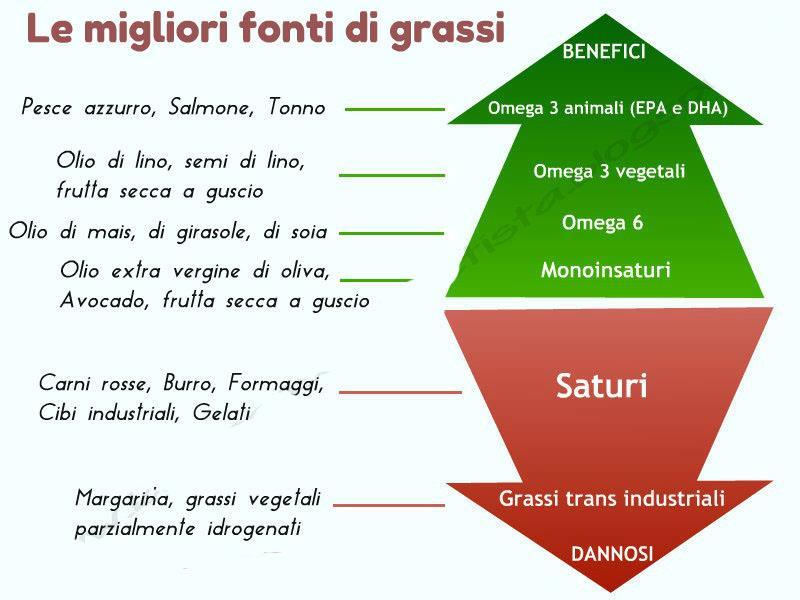 energia Formazione di ormoni steroidei Fosfolipidi